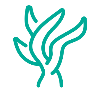 Sản phẩm dĩnh dưỡng từ tảo biển